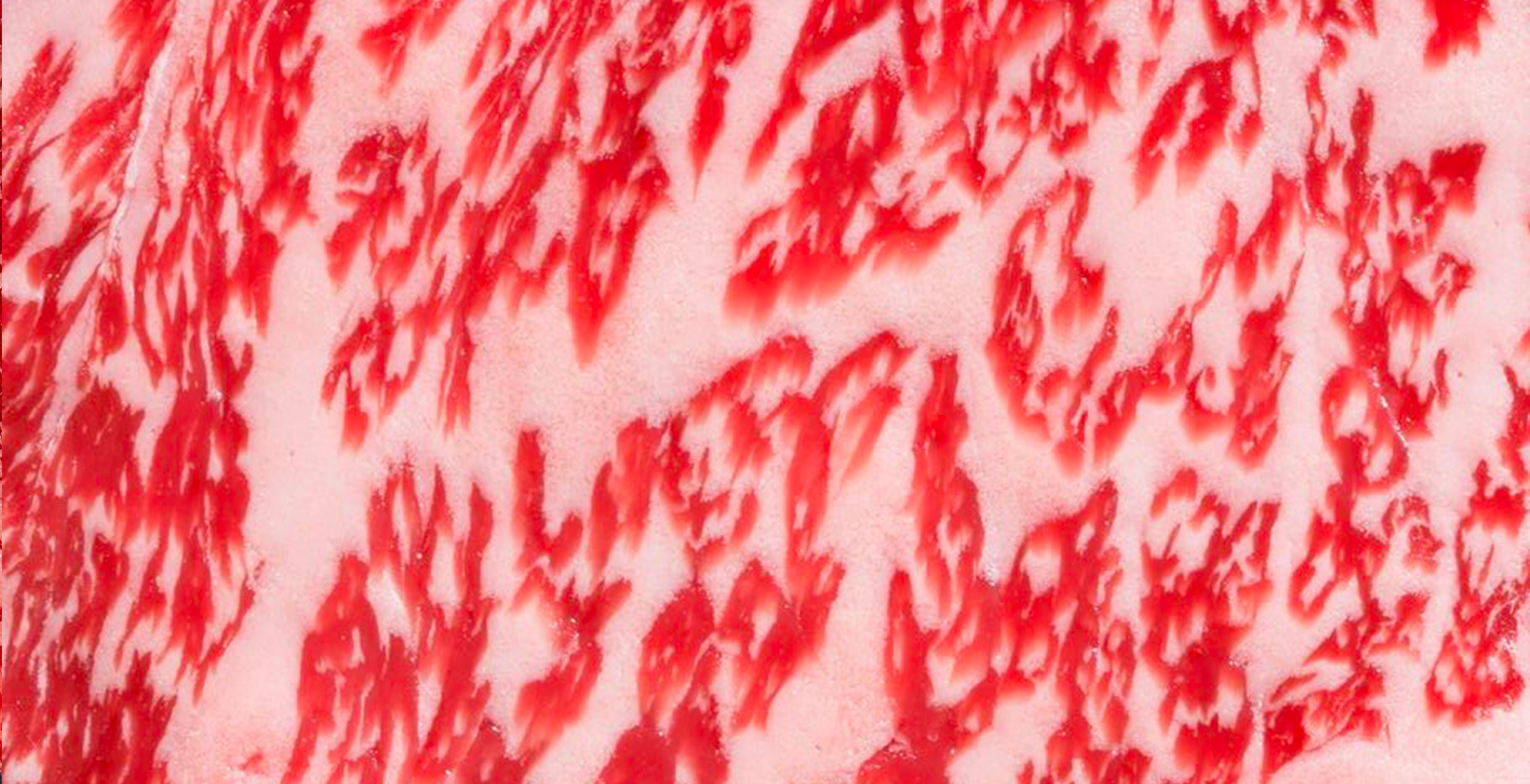 WAGYU