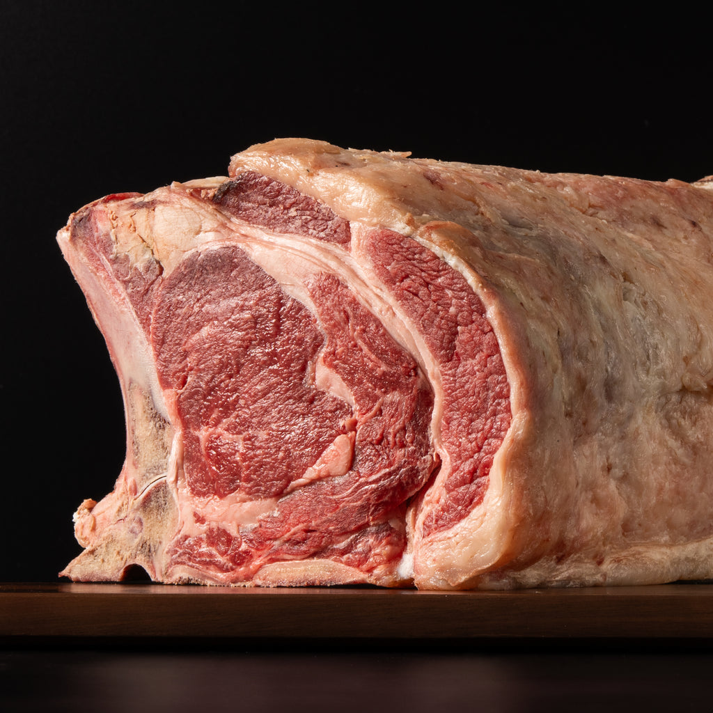 irish angus